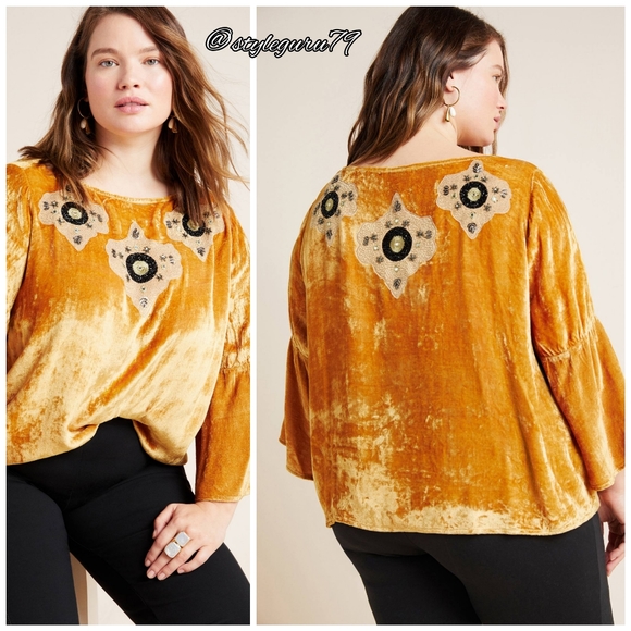 NWT, Anthropologie, Carina Beaded Velvet Blouse - Picture 4 of 4